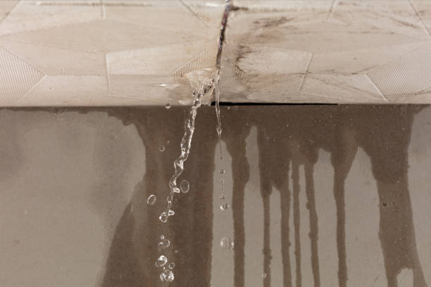 Professional Water Damage Restoration technician working in Massapequa Park, NY